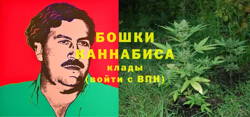 Канабис SATIVA & INDICA  Гурьевск 